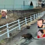 レス23番の画像1