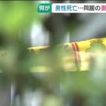 レス2番のリンク先のサムネイル画像