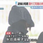 レス1番のリンク先のサムネイル画像