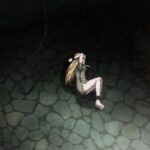 レス3番の画像8