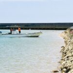 レス1番のリンク先のサムネイル画像