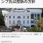 レス11番の画像1