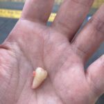 レス12番の画像1