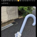 レス4番の画像1