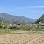 レス1番のリンク先のサムネイル画像