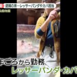 レス1番のリンク先のサムネイル画像