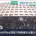 レス1番のリンク先のサムネイル画像