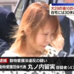 レス1番のリンク先のサムネイル画像