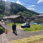 レス1番のリンク先のサムネイル画像