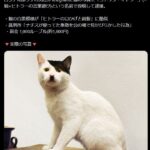 レス1番の画像1