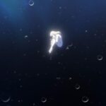 レス2番の画像8