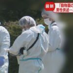 レス1番のリンク先のサムネイル画像