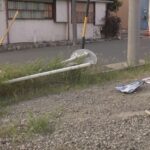 レス2番の画像3