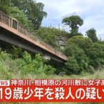 レス1番のリンク先のサムネイル画像