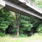 レス1番のリンク先のサムネイル画像