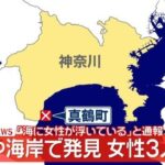 レス1番のリンク先のサムネイル画像