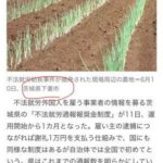 レス1番の画像3