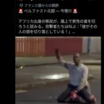 レス1番の画像2