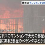 レス1番のリンク先のサムネイル画像