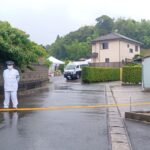 レス1番のリンク先のサムネイル画像