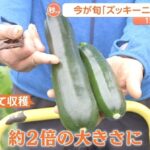 レス1番の画像5