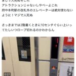 レス1番の画像1