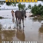 レス1番のリンク先のサムネイル画像