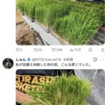 レス1番の画像3