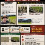 レス1番の画像4