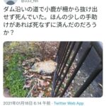 レス1番の画像1
