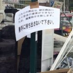レス8番の画像4