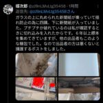 レス1番の画像2