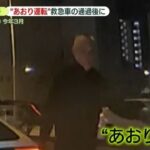 レス3番のリンク先のサムネイル画像