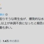レス1番の画像1