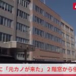 レス1番のリンク先のサムネイル画像