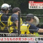 レス1番のリンク先のサムネイル画像