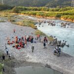 レス1番のリンク先のサムネイル画像