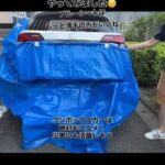 レス1番の画像2