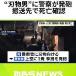 レス1番のリンク先のサムネイル画像