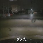レス39番の画像2