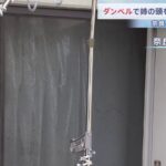 レス1番のリンク先のサムネイル画像