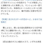 レス1番の画像1