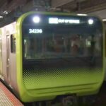 レス1番のリンク先のサムネイル画像