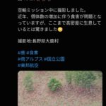 レス3番の画像1