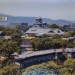 レス42番のリンク先のサムネイル画像