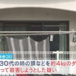 レス1番のリンク先のサムネイル画像