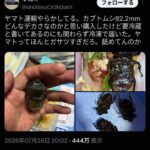 レス1番の画像1