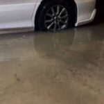 レス4番のリンク先のサムネイル画像
