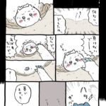レス5番の画像3
