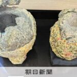レス1番のリンク先のサムネイル画像